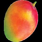 Earths best organic mango