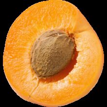 Earths best organic apricot sliced side