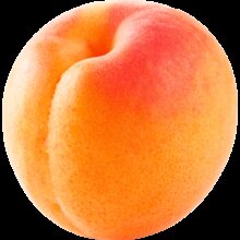 Earths best organic apricot