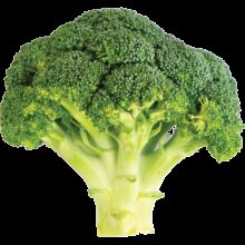 Earths best organic broccoli