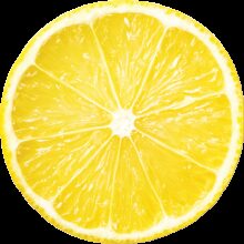 Earths best organic lemon sliced top