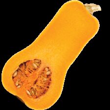 Earths best organic butternut squash sliced side