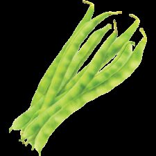 Earths best organic green beans bunch