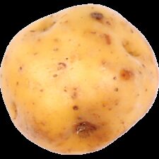 Earths best organic potato