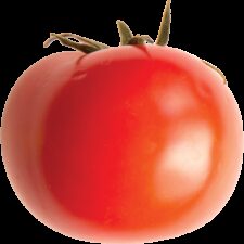 Earths best organic tomato