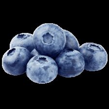 Earths best organic blueberry bunch small
