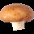 Earths best organic mushroom