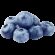 Earths best organic blueberry bunch small