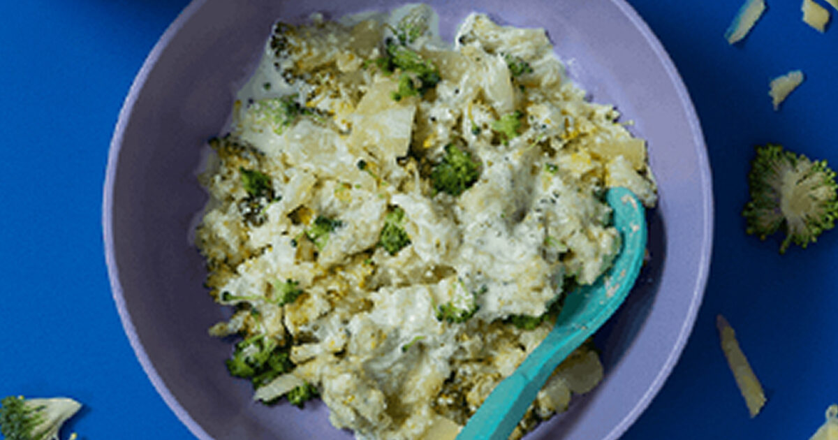 Cheesy Broccoli + Potato Gratin | Earth's Best