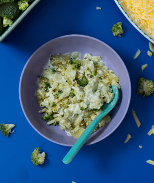 Cheese broccoli and potato gratin toddler recipe