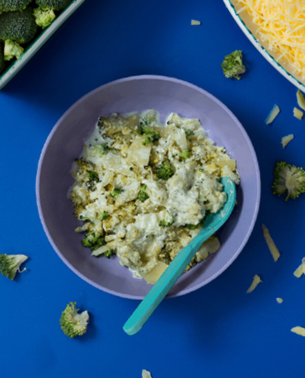 Cheese broccoli and potato gratin toddler recipe