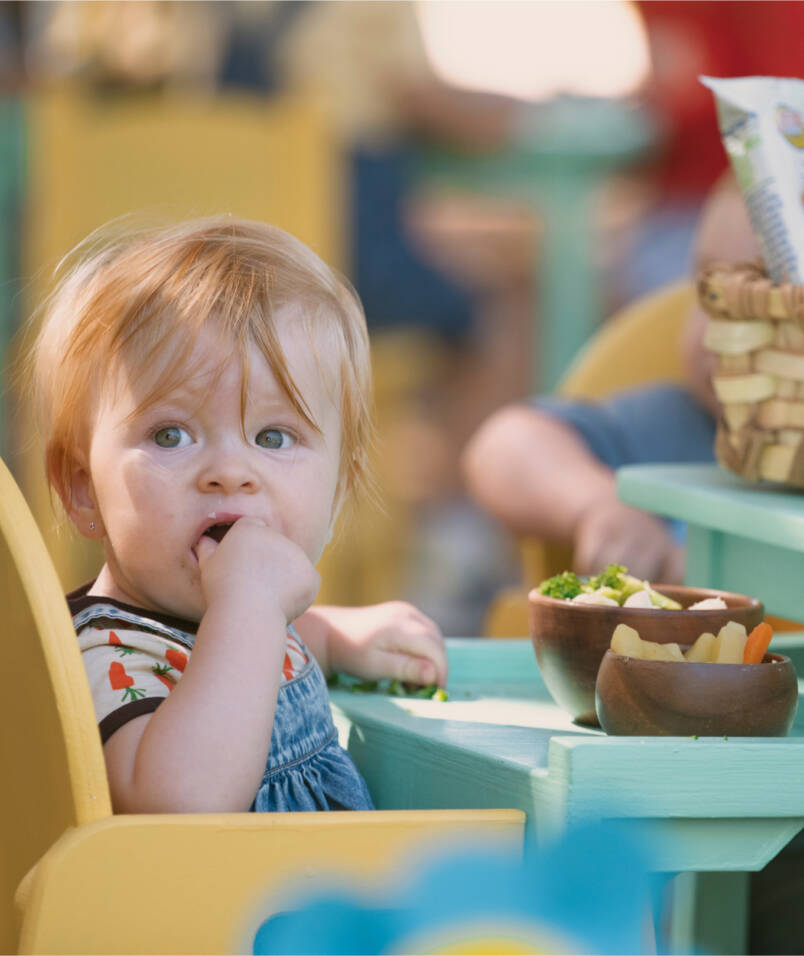 Starting Solids | 6 Months | Earth's Best